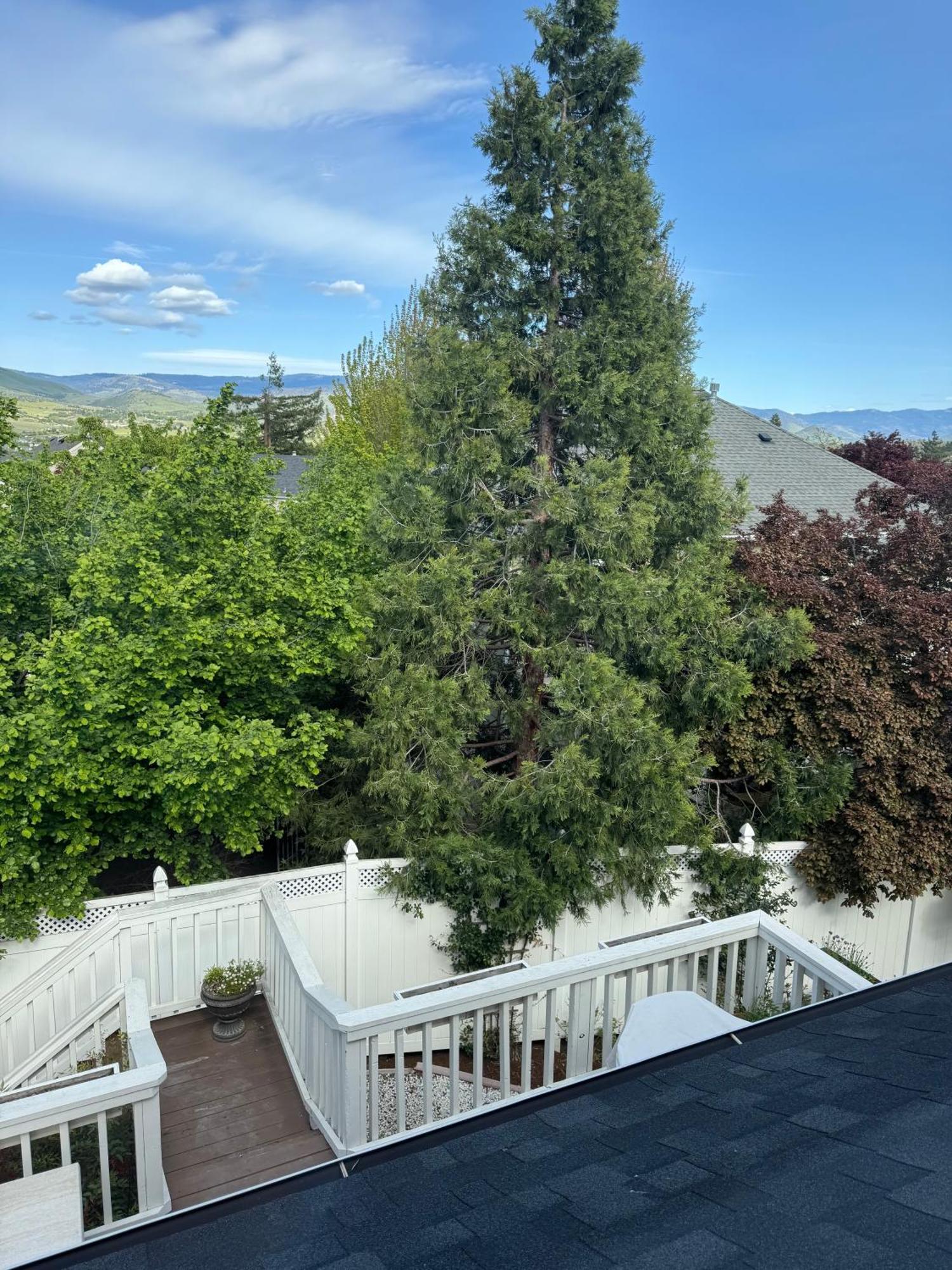 Bayberry Inn B&B And Oregon Wellness Retreat Ashland Esterno foto